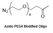 Bio-Synthesis Inc. Oligo Structure